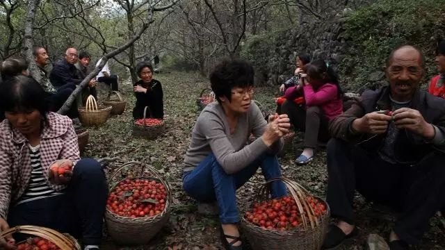 加工致富好项目_加工厂致富项目_致富经生产加工