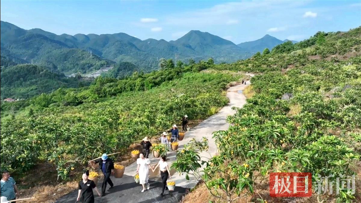 湖北襄阳养殖什么最赚钱农村_襄阳养殖业_湖北襄阳养殖致富