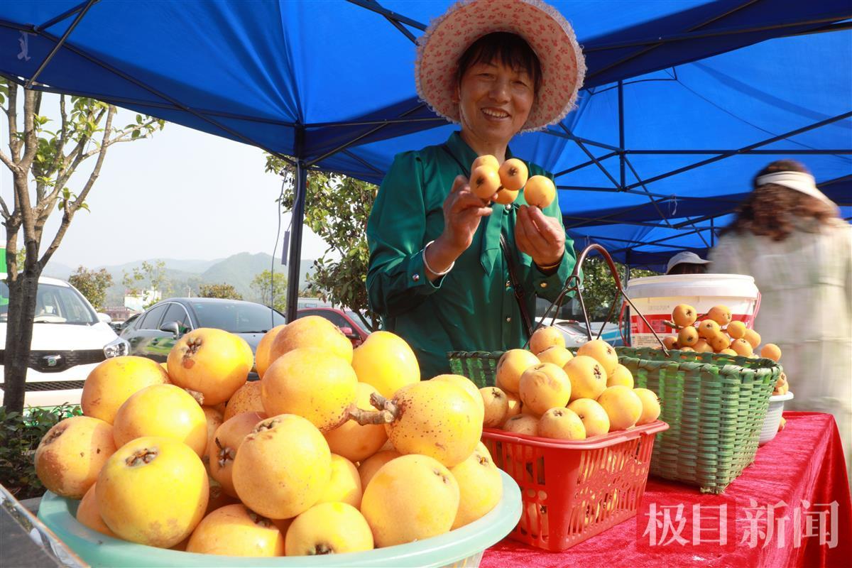 襄阳养殖业_湖北襄阳养殖致富_湖北襄阳养殖什么最赚钱农村