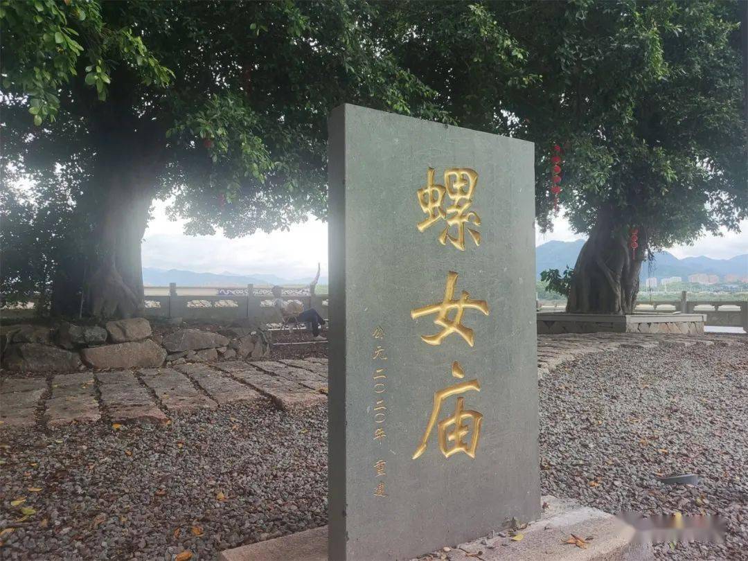 cctv一7致富经田螺养殖_最新田螺养殖致富视频直播_致富经田螺年卖700万