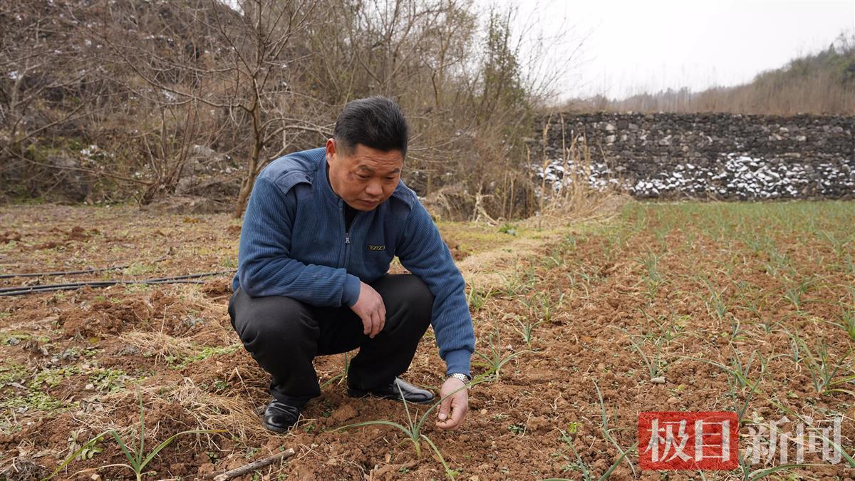 湖北襄阳养殖场_襄阳养殖业什么最赚钱农村_湖北襄阳养殖致富