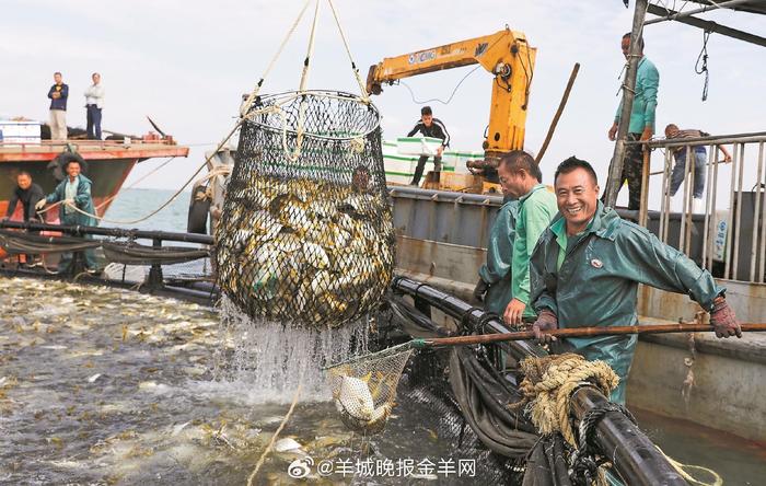 湛江养殖致富_湛江养猪场项目投资2亿_湛江养殖业