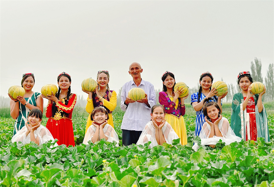 乳瓜种植技术视频_乳瓜种植致富_乳瓜如何种植