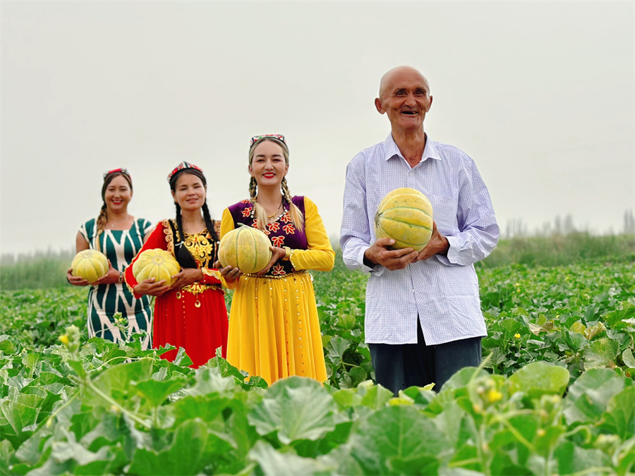 乳瓜如何种植_乳瓜种植技术视频_乳瓜种植致富