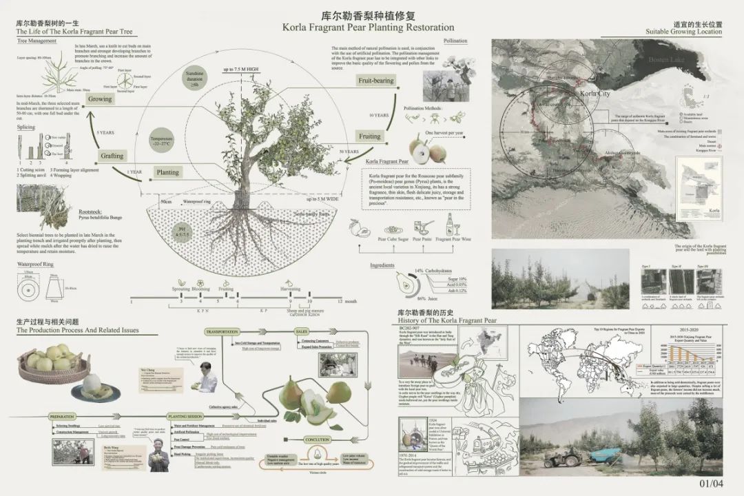 最新梨树种植技术视频_种植梨树技术新闻稿件_梨树种植新技术