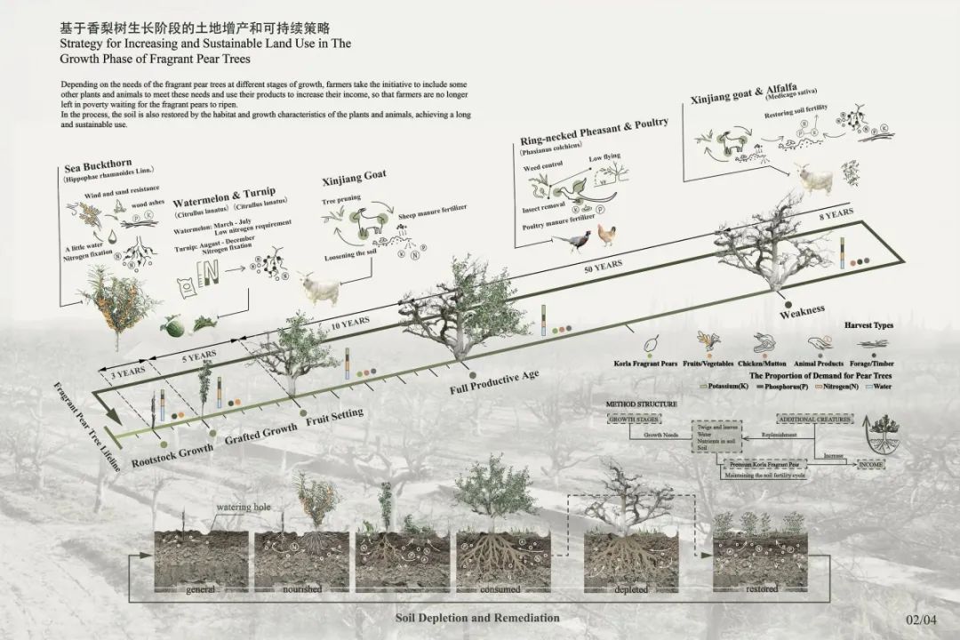 梨树种植新技术_种植梨树技术新闻稿件_最新梨树种植技术视频