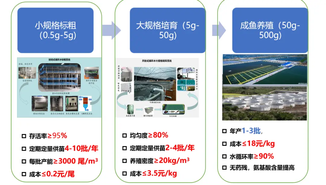 高密度草鱼养殖技术_草鱼的高密度养殖_草鱼高密度养殖技术视频-标清