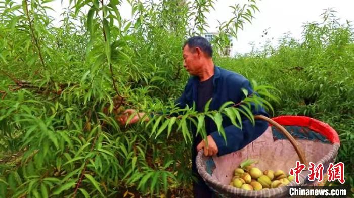 湖北襄阳养殖什么最赚钱农村_湖北襄阳养殖致富_襄阳养殖业什么最赚钱农村