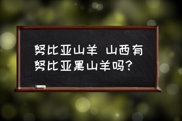 努比亚山羊 山西有努比亚黑山羊吗？