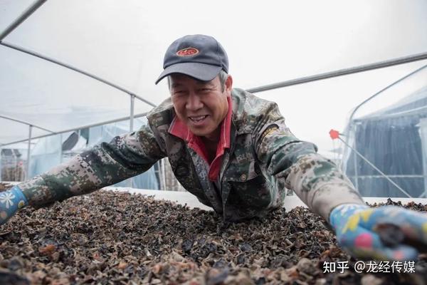 扶贫木耳基地_扶贫致富种植木耳_种木耳助脱贫