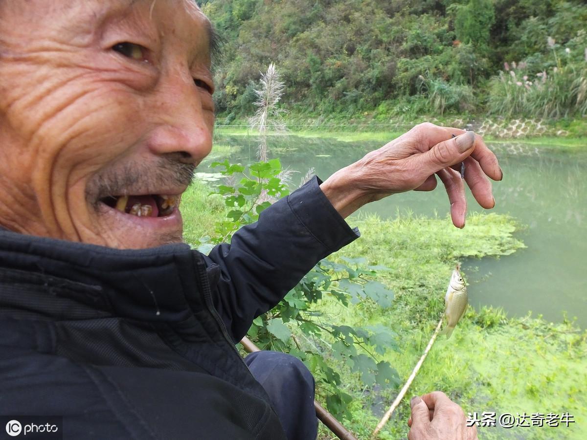 养殖致富项目视频_致富养殖各种面食_养殖视频致富经