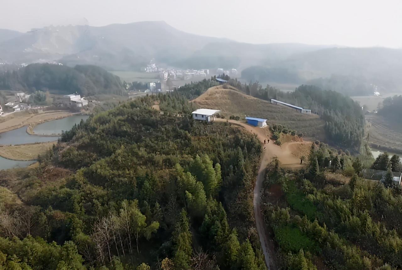 土鸡养殖致富经_土鸡代养_土鸡养殖带致富