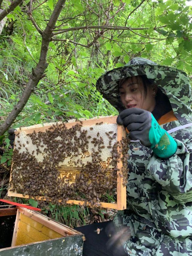 甘松的种植_甘松种植致富人_科学种植致富100例