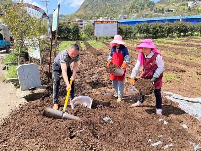 致富经蚯蚓养殖致富_专业养殖蚯蚓_蚯蚓养殖赚钱