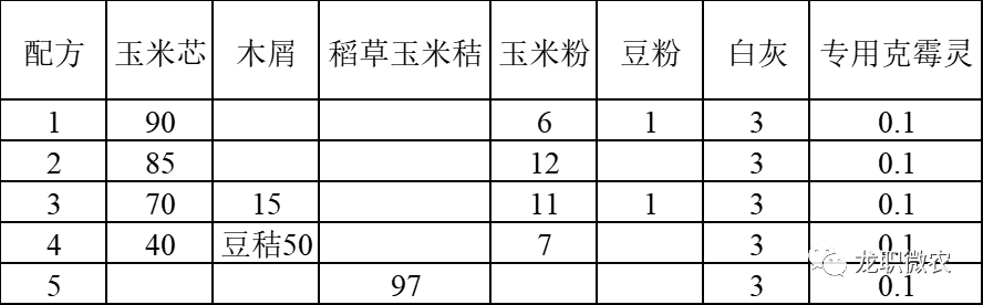 香菇种植技术平菇种植方法_平菇香菇种植技术_平香菇人工栽培过程