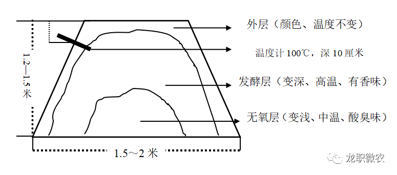 香菇种植技术平菇种植方法_平菇香菇种植技术_平香菇人工栽培过程