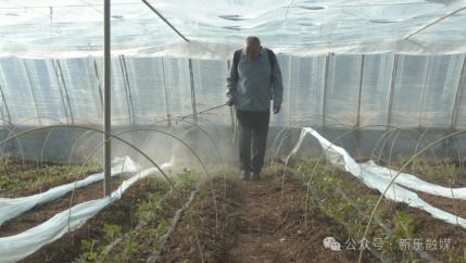 粮食种植致富吗_种粮食赚钱吗_粮食种植视频