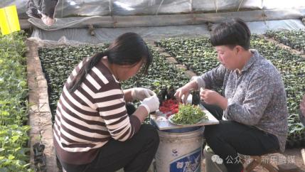 种粮食赚钱吗_粮食种植视频_粮食种植致富吗