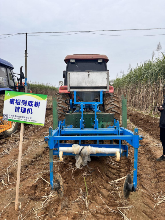 广西农村种植业致富项目_广西种植致富机器_广西致富种植项目