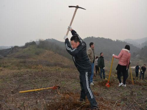 蝎子养殖技术培训_蝎子养殖技术视频教学_蝎子养殖培训中心