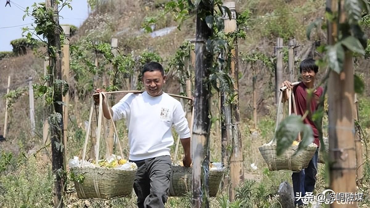 西双版纳种地怎么样_西双版纳种植基地转让_西双版纳种植致富