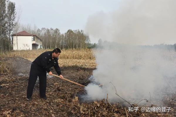 秸秆加工项目_致富经秸秆加工视频_秸秆加工项目能赚钱吗