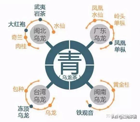 种植茶叶投资多少_种植茶叶赚钱吗_种植什么茶致富