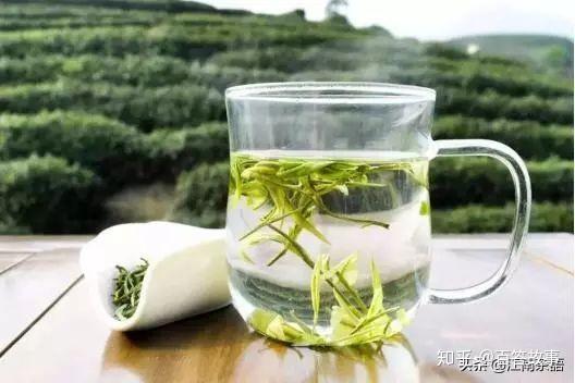 种植茶叶赚钱吗_种植茶叶投资多少_种植什么茶致富