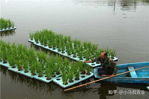 致富养鱼视频_致富经种菜养鱼_致富养鱼种菜视频