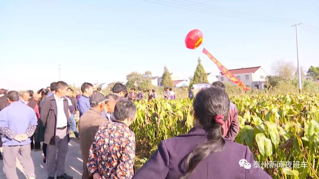 泥鳅种鱼养殖技术_养殖泥鳅用什么肥水呢_泥鳅种植技术用什么肥料