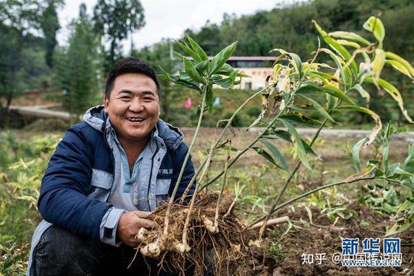 中药材种植致富秘方大全_中药材种植致富经_药材种植致富项目