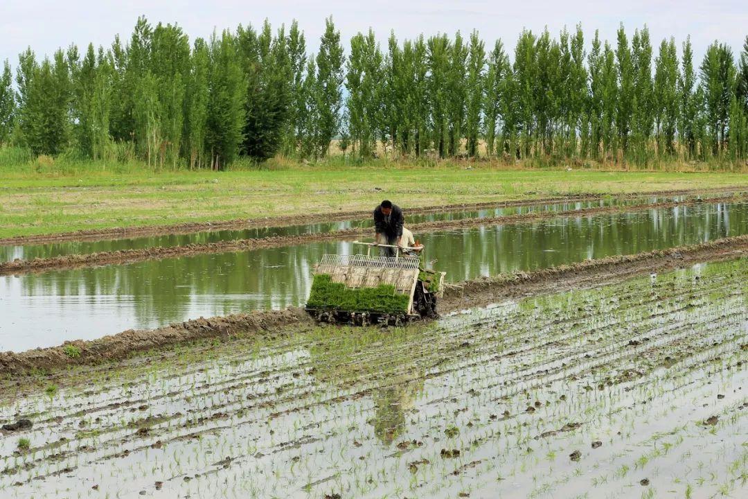 致富经养蛙_371种养致富经_致富经青娃养殖