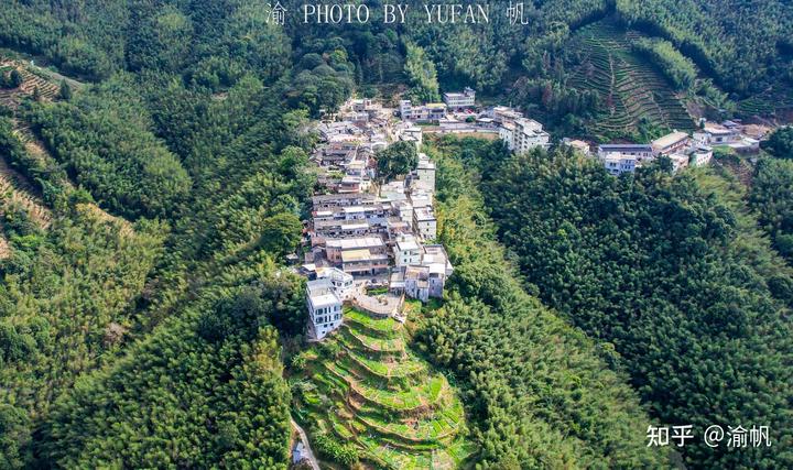 藏在粤东大山里的世外桃源，形如山中半岛，村民因一片叶子而致富