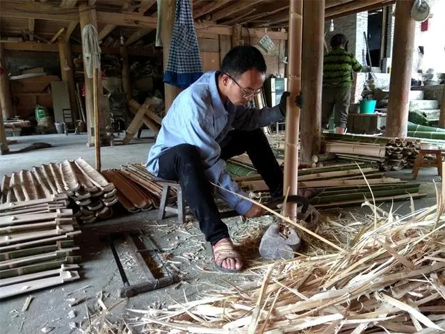 竹子致富项目_致富竹子种植技术视频_种植竹子 致富