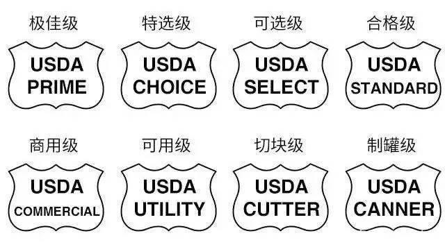 安格斯牛养殖技术_养殖牛安格斯技术要求_安格斯牛养殖成本及利润