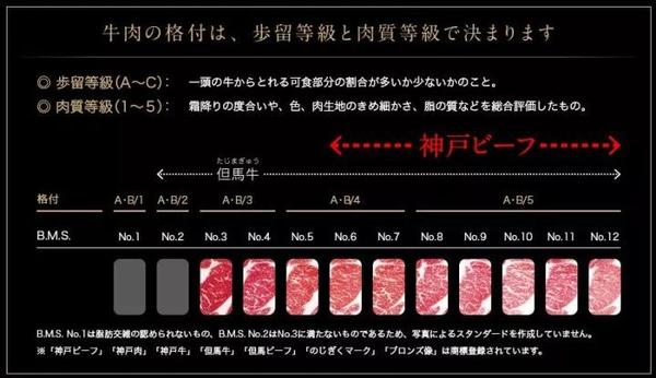 养殖牛安格斯技术要求_安格斯牛养殖成本及利润_安格斯牛养殖技术