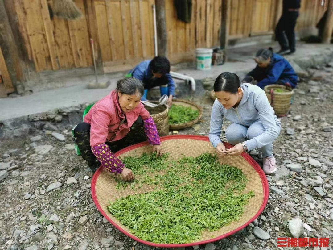 致富农村_农民致富视频_大山农民的致富经