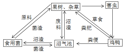 在推进精准扶贫过程中，多地结合当地实际，把食用菌产业作为脱贫致富的主导产业。