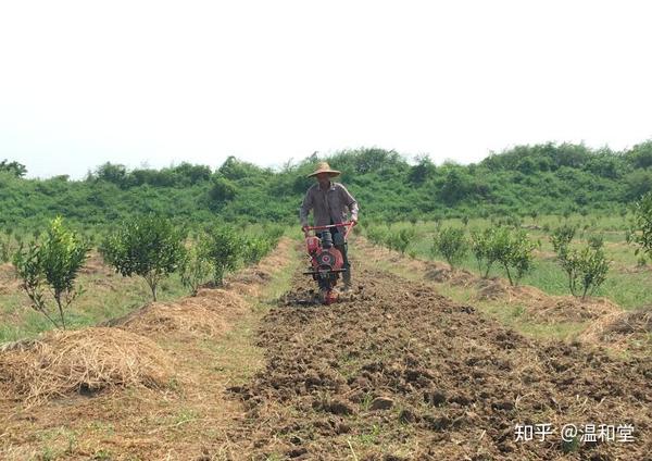 有机肥种植致富路线_致富经有机肥生产线视频_种肥机器