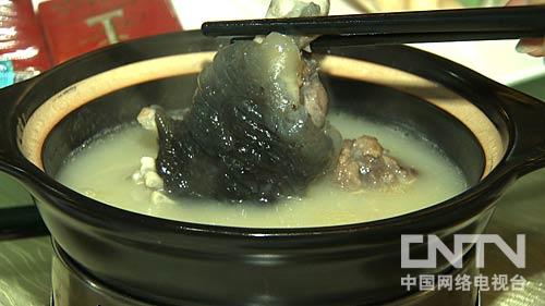 致富养甲鱼牛人图片_致富经养甲鱼技术视频_致富经 牛人养甲鱼