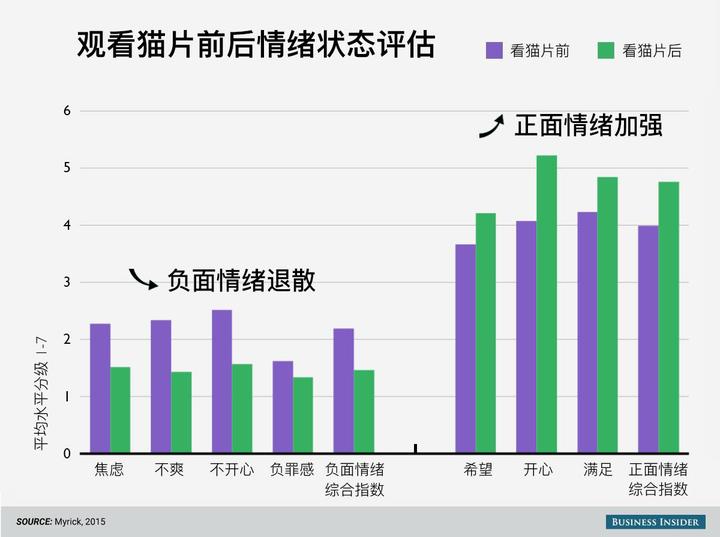 视频致富养殖宠物狗_致富经宠物狗养殖视频_视频致富养殖宠物狗是真的吗