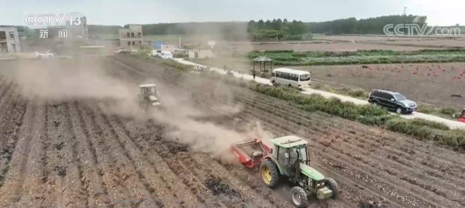 广东农村种植什么赚钱不愁销路_广东农民种植致富_农村种植致富