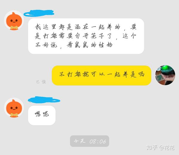 养鼠需理智，勿存攀比心