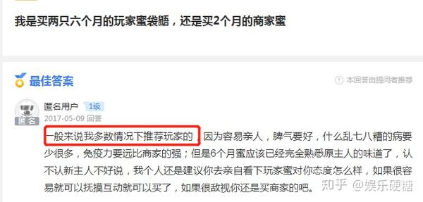 养狗养殖场视频致富经_致富经宠物狗养殖视频_养狗场视频致富经