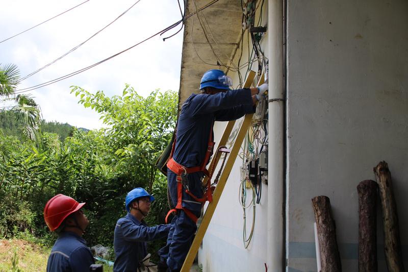 致富养殖烟叶项目介绍_养殖烟草_烟叶养殖致富项目