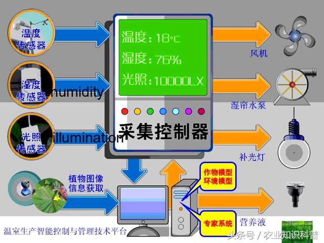 这些机械的使用，让大棚种植走向机械化、自动化，成本低效益高！