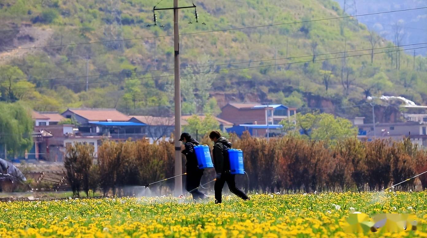 种植环保主题_致富种植环保农村有补贴吗_农村环保种植致富