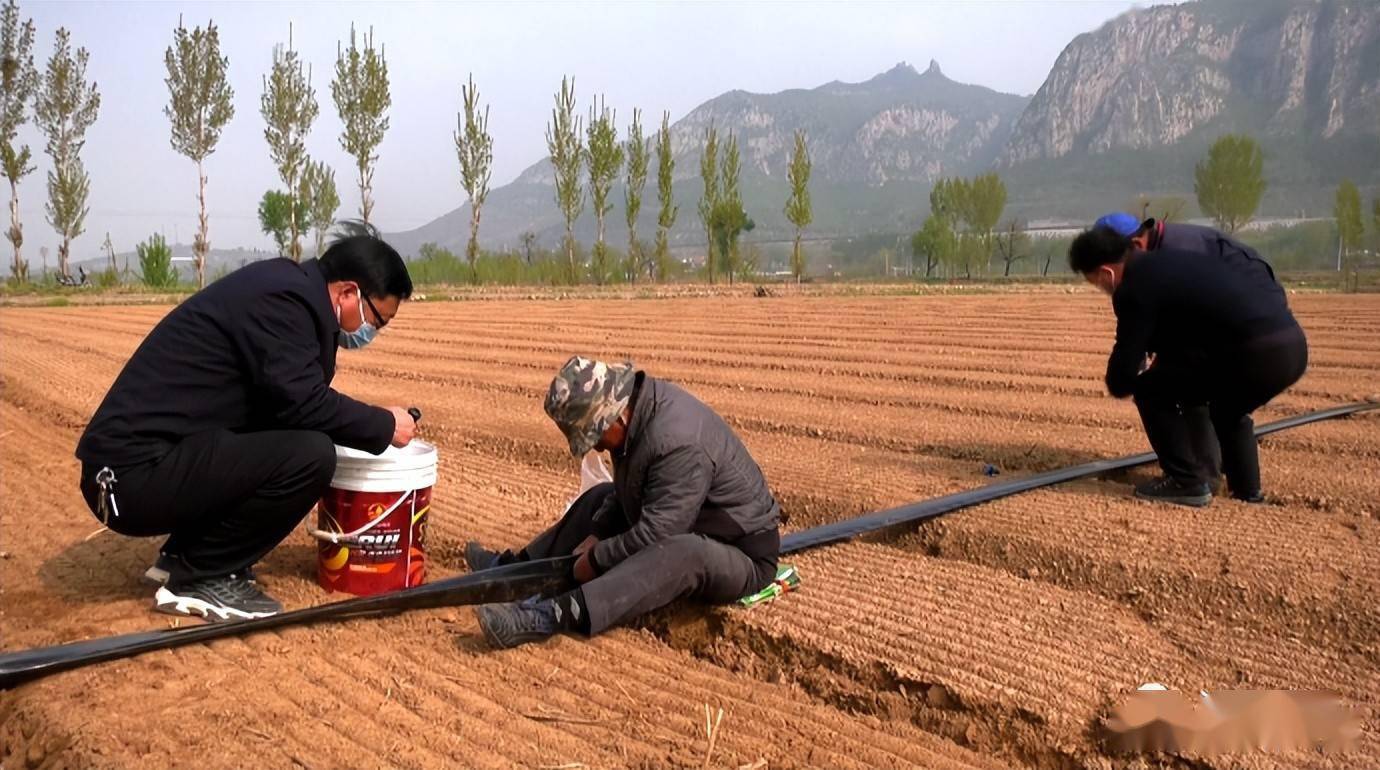 种植环保主题_致富种植环保农村有补贴吗_农村环保种植致富