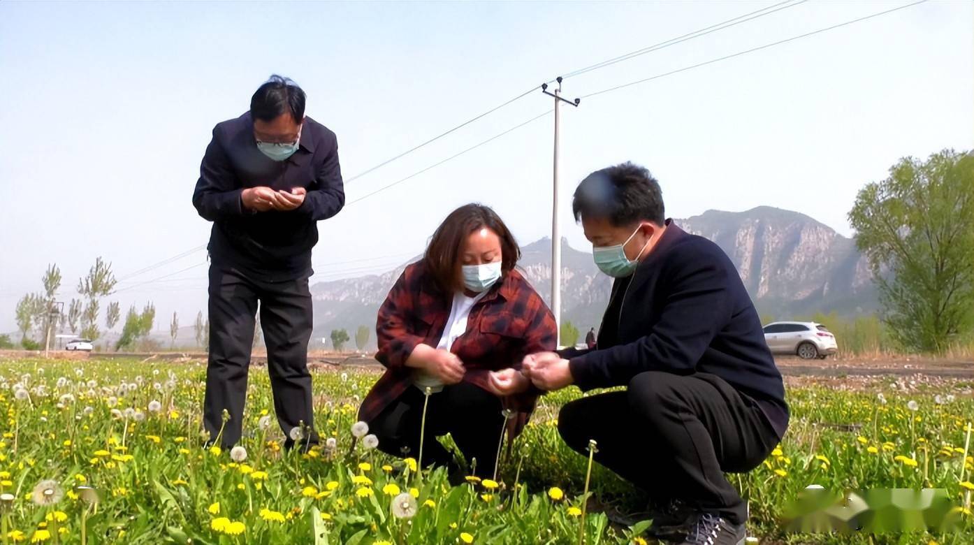 农村环保种植致富_致富种植环保农村有补贴吗_种植环保主题