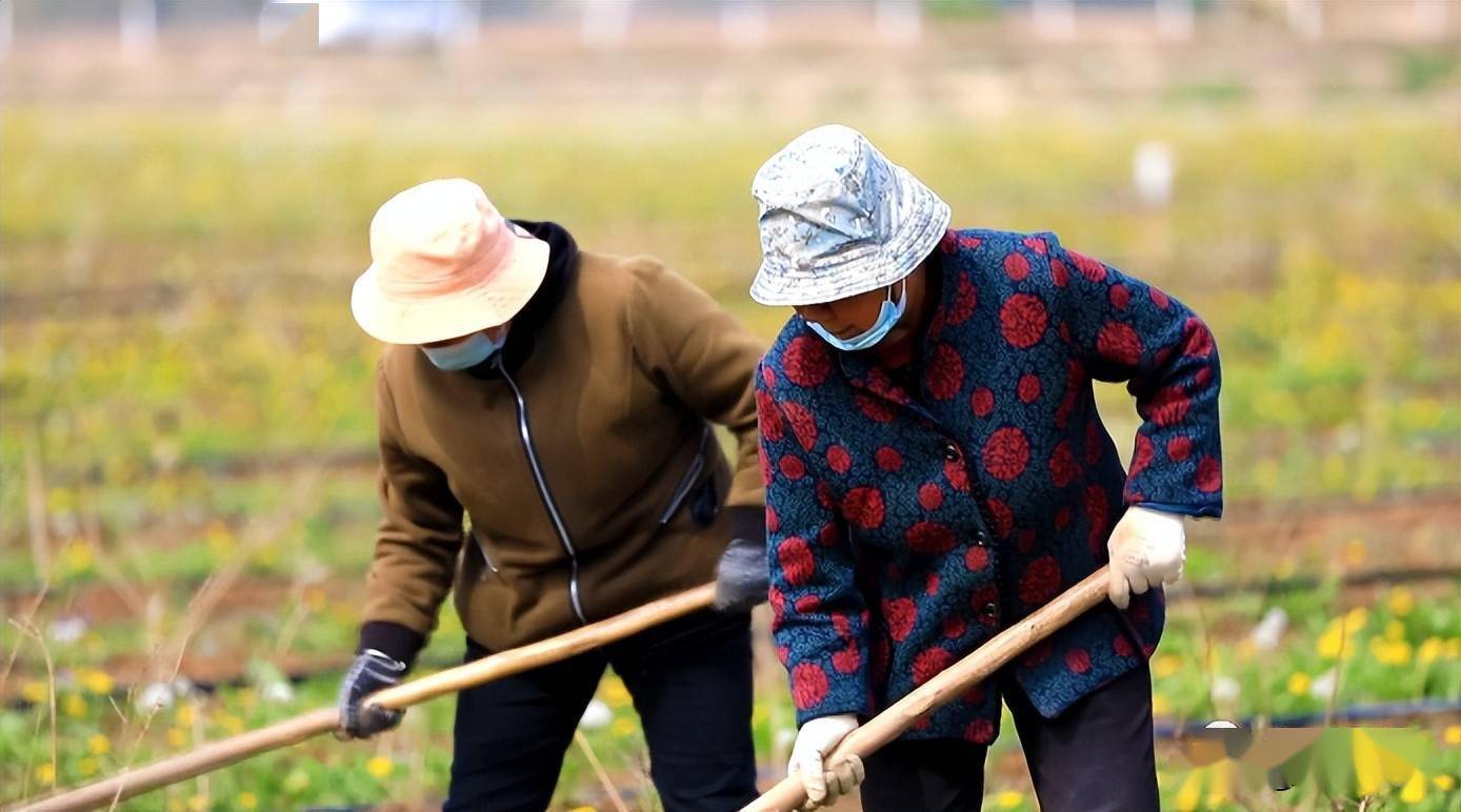 种植环保主题_农村环保种植致富_致富种植环保农村有补贴吗